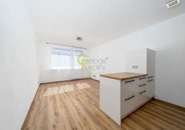 Nové 1+kk po kompletní rekonstrukci - Pod Lysinami, Praha 4 - Hodkovičky