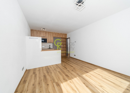 Pronájem bytu, 1+kk, 30 m²