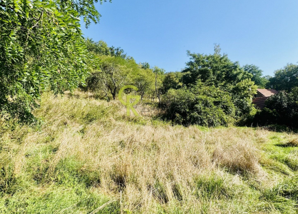 Prodej pozemku, 3752 m²