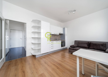 Pronájem bytu, 1+kk, 28 m²