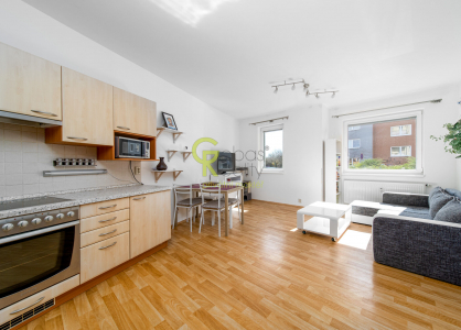 Pronájem bytu, 3+kk, 67 m²
