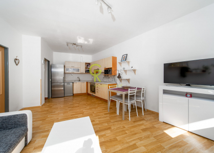 Pronájem bytu, 3+kk, 67 m²