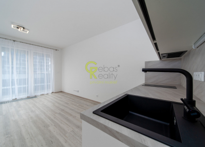 Pronájem bytu, 1+kk, 32 m²
