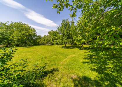 Prodej pozemku, 1062 m²